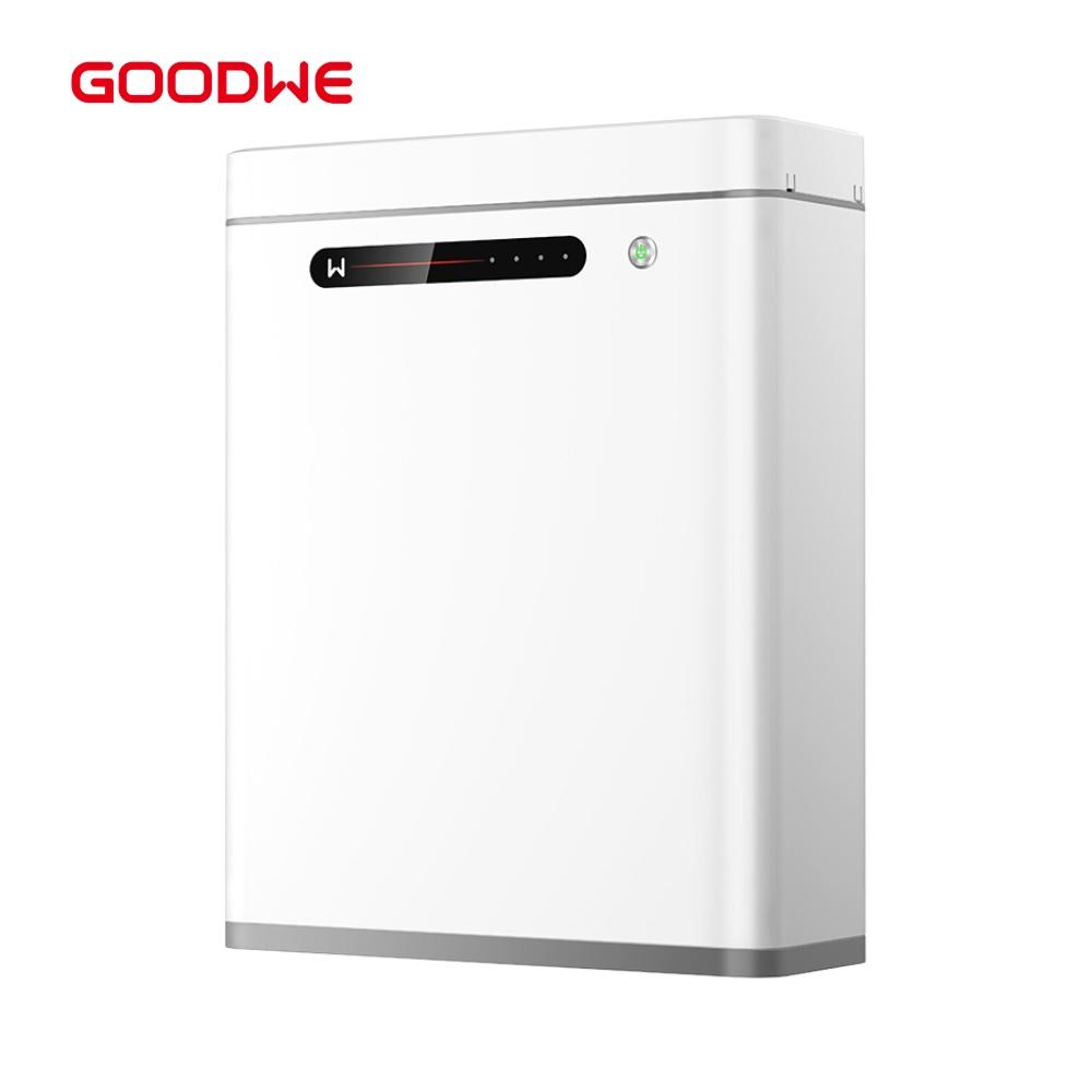 GoodWe 5kWh Lithium Battery - 51.2V, 100Ah LifePO4 Battery for Energy Storage (Lynx A 5.0-30 )